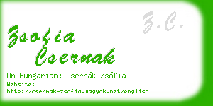 zsofia csernak business card